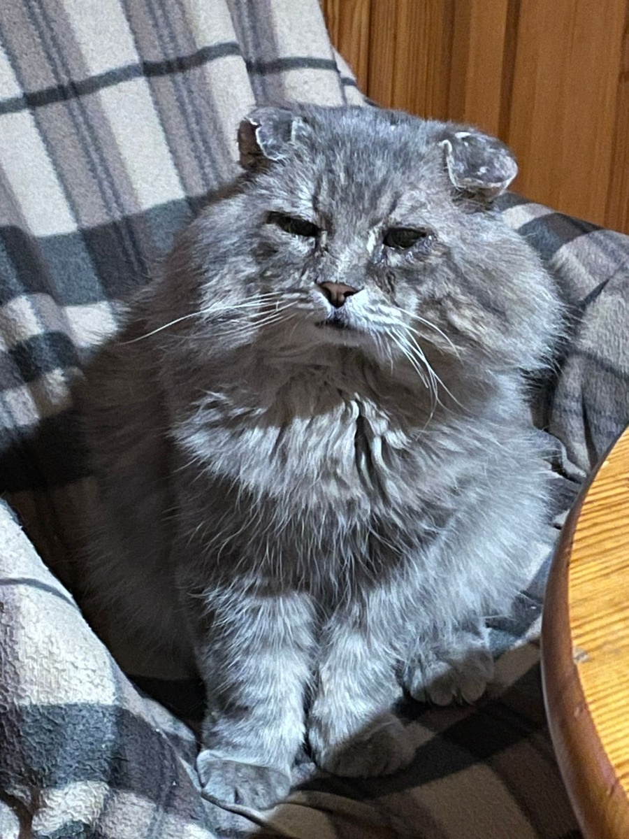 Хозяйка, ты не отвлекайся от готовки! Везде фото автора,