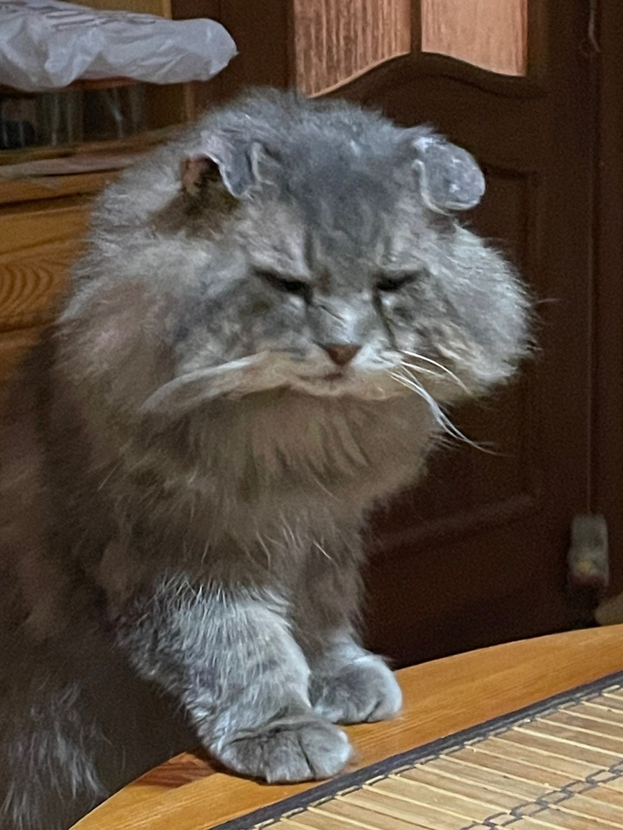 Также можно стоять! 