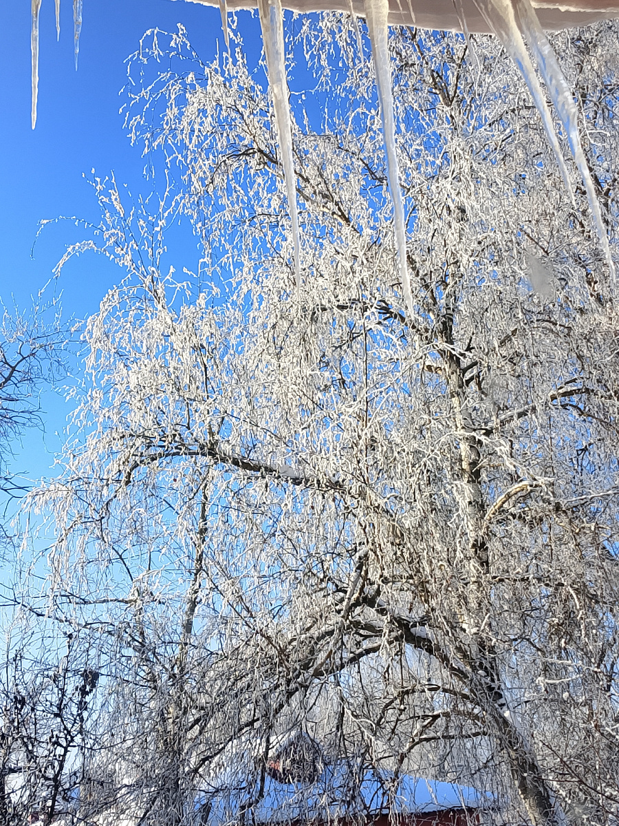 Вид из нашего окна
