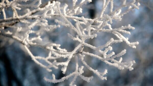    © Sputnik / Алексей Даничев