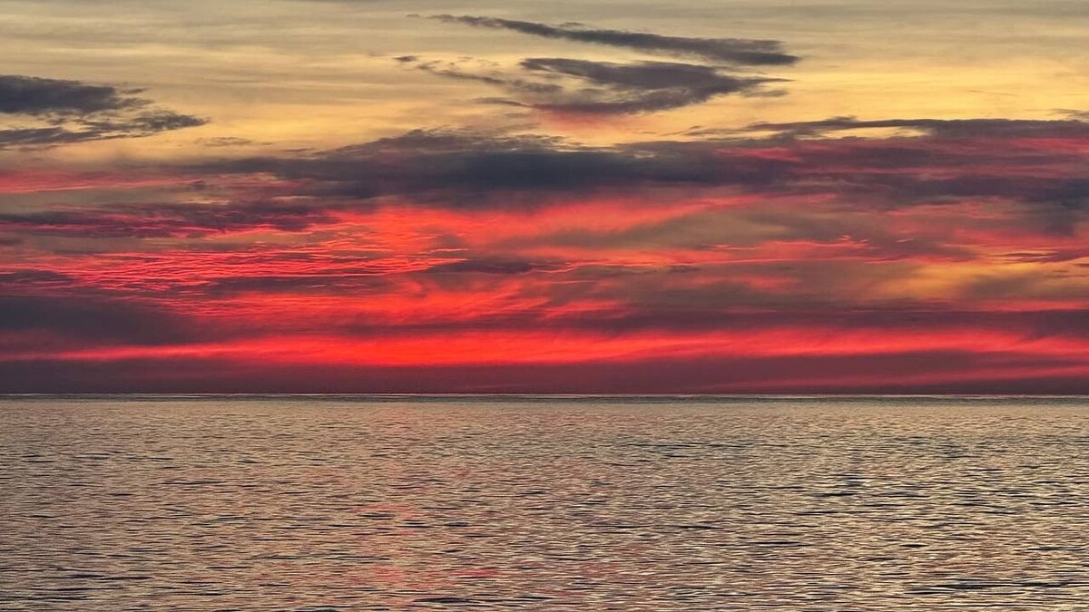    Фото: телеканал «Краснодар»