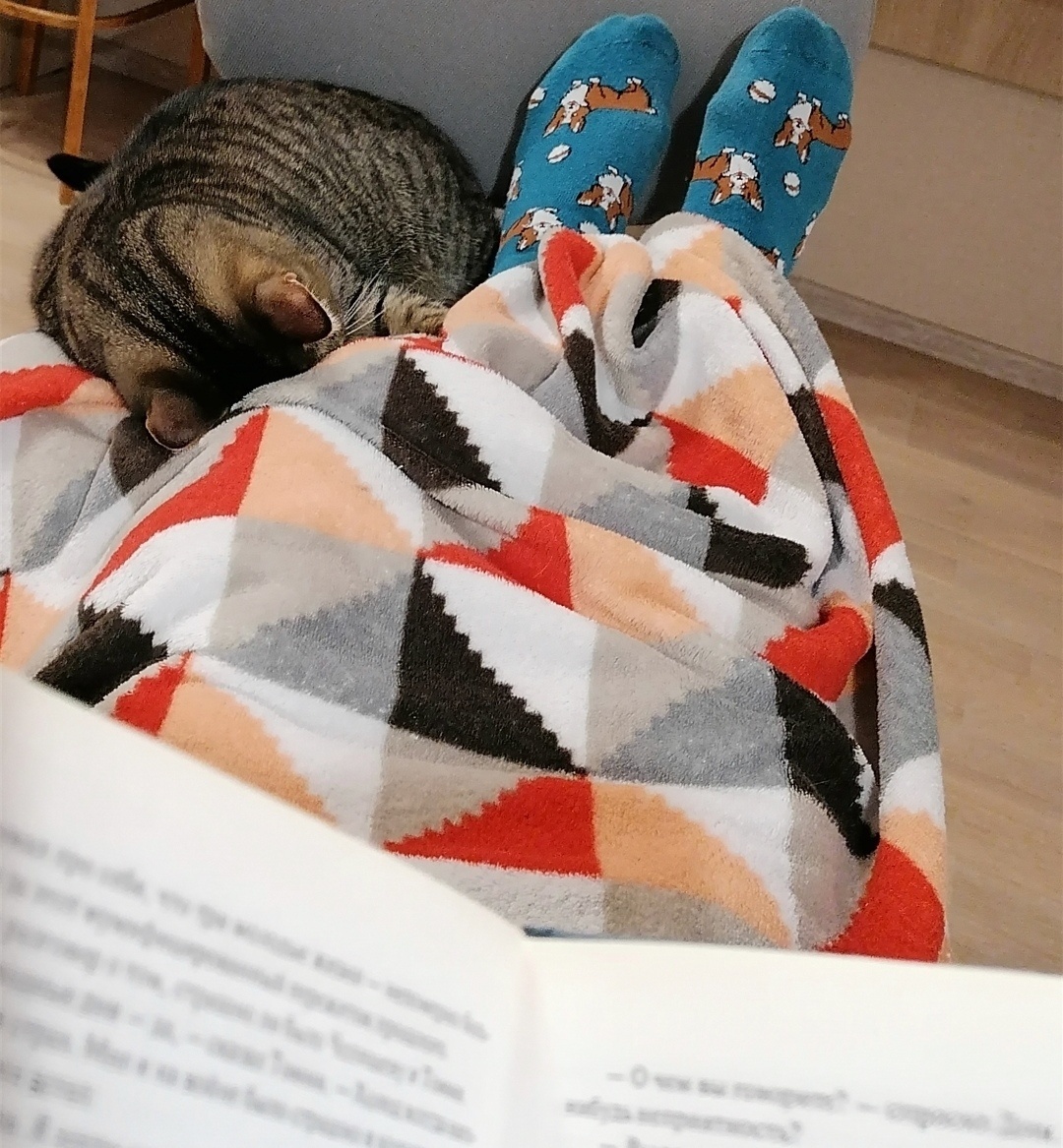 Тёплый комочек в ногах согревает не только тело, но и душу