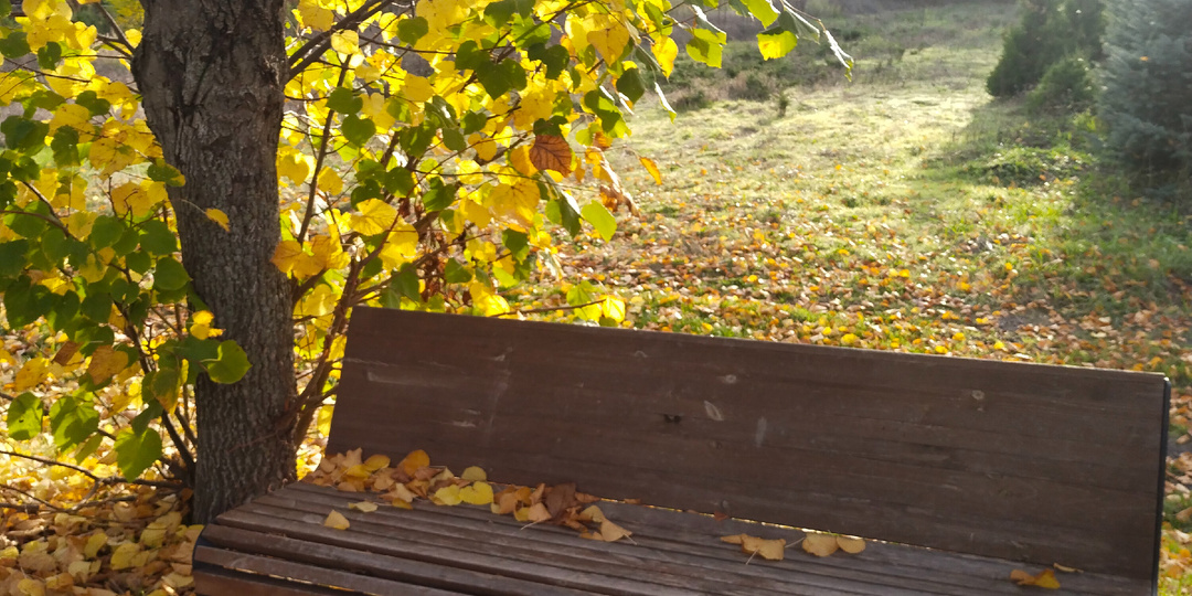 Хочется верить в хорошее. Так и будет!