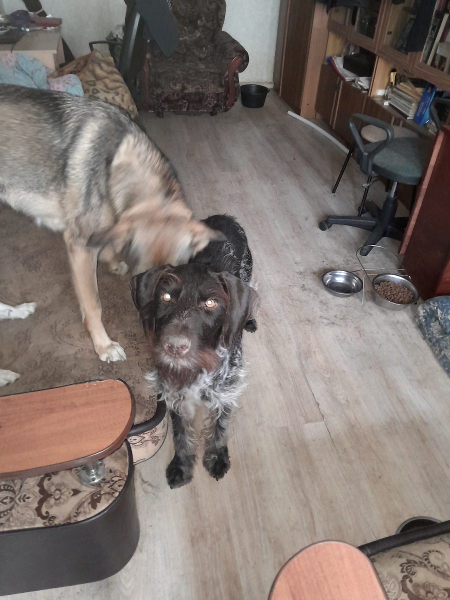 Девчонка достает, но я же парень. Терплю