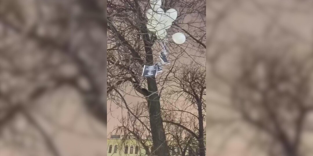 Двух петербуржцев оштрафовали на 20 тыс. рублей за пикет в Овсянниковском саду