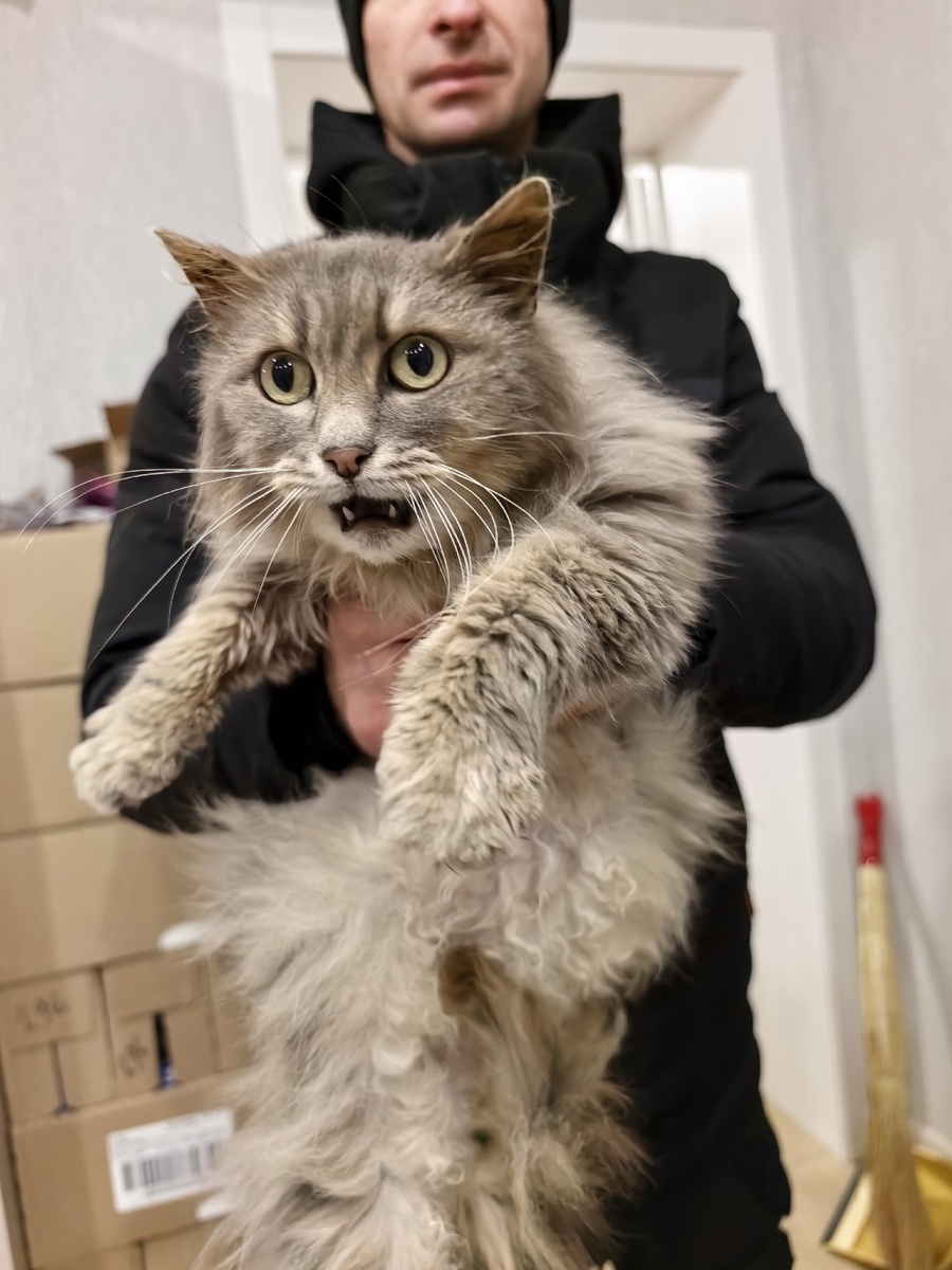 Эмоциональна. Фото из архива автора