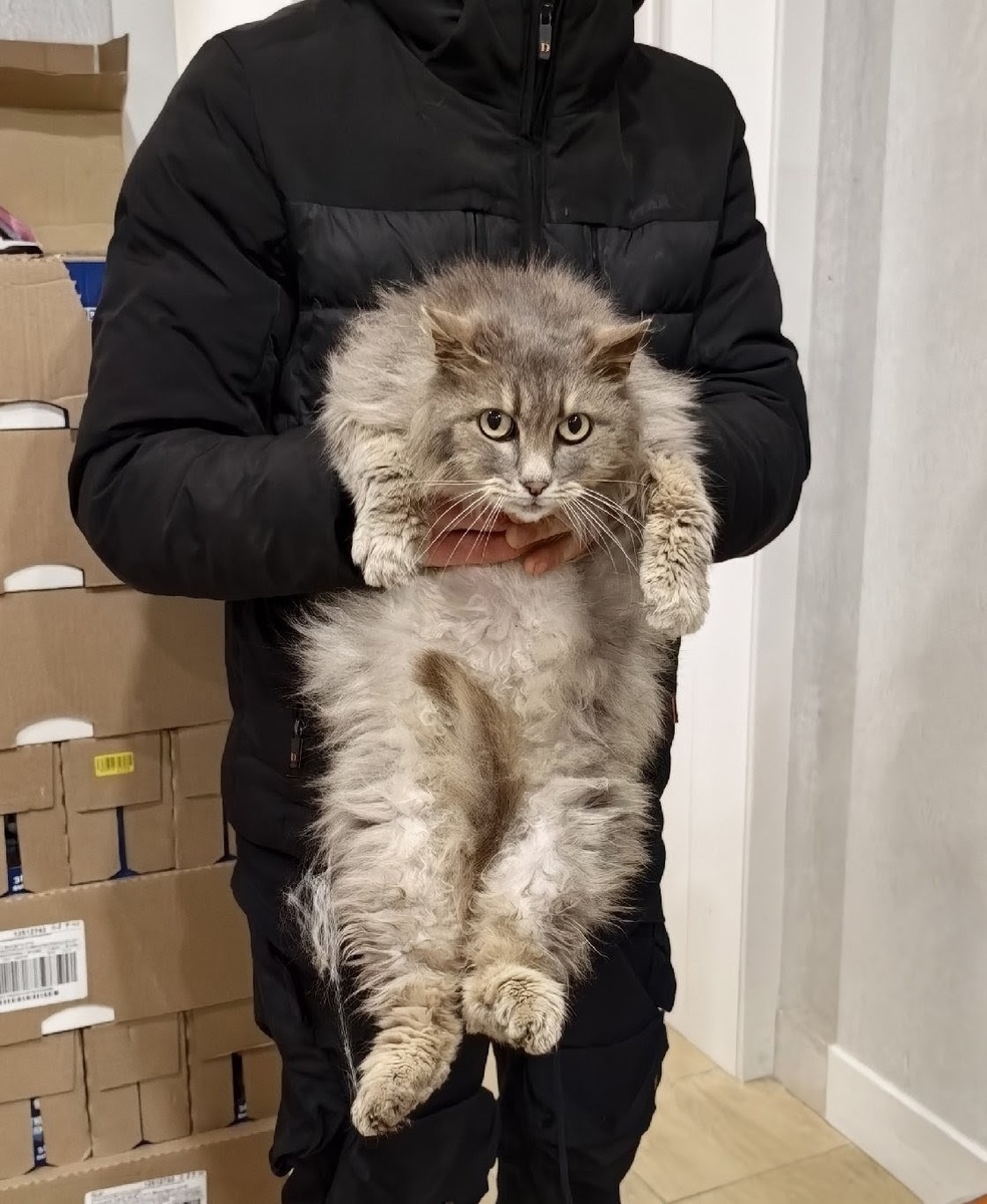 Пышна дама. Фото из архива автора