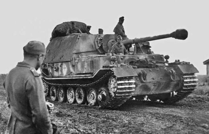 Слон в стае кошек: 5 интересных фактов о самой грозной самоходке Второй мировой