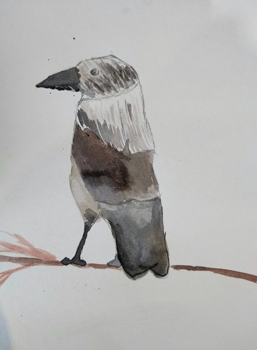 Мишин рисунок