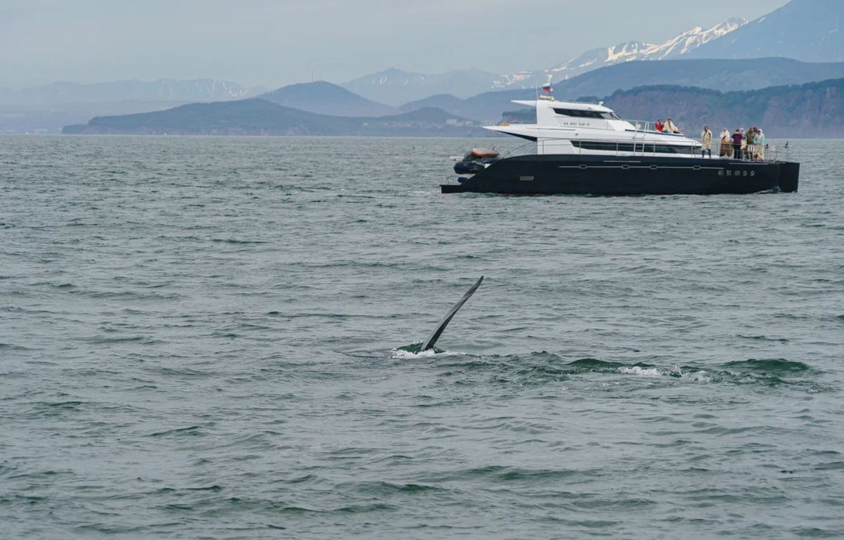 Фото Вместе Тревел из тура на Камчатку этим летом