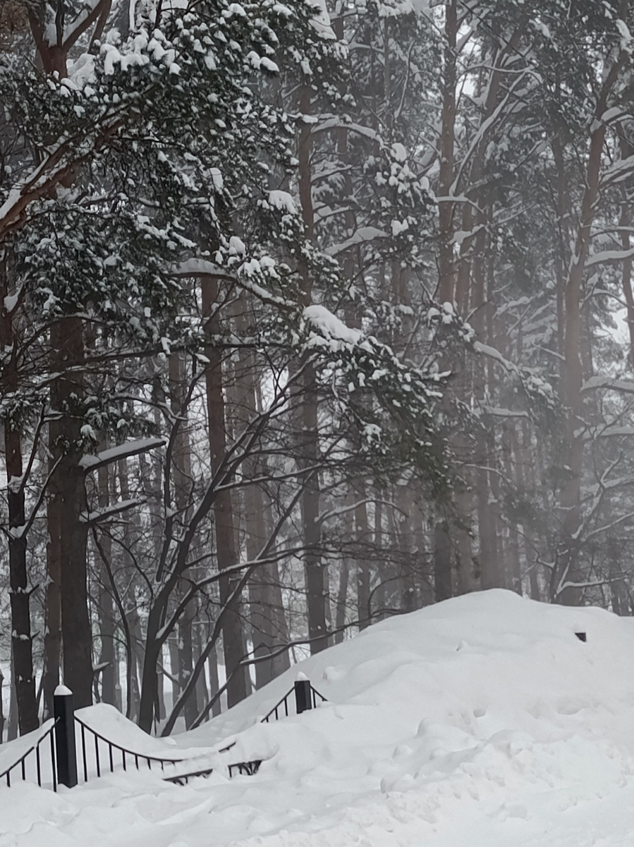 Фото автора статьи. За нашим домом.