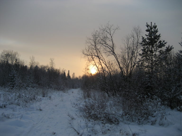    Фото с сайта wikipedia.org Илья Федоров