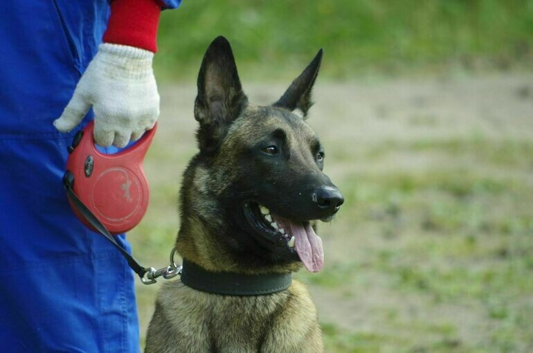   Игорь Самохвалов/«Парламентская газета»