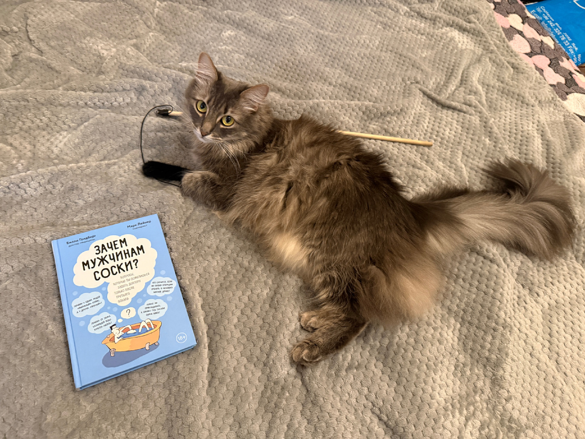 фото предоставлено мною из личного домашнего архива моей личной домашней библиотеки. 