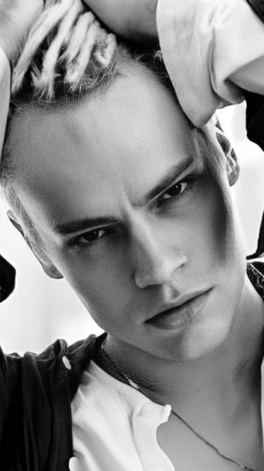 Собаки лают-караван идет. Из интернета 