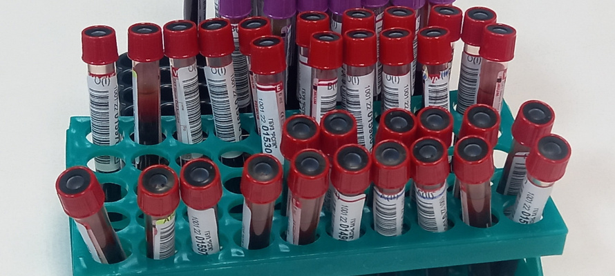    фото: © Станция переливания крови Петрозаводска