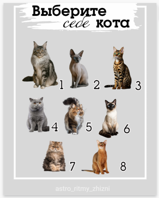 выбирайте от души