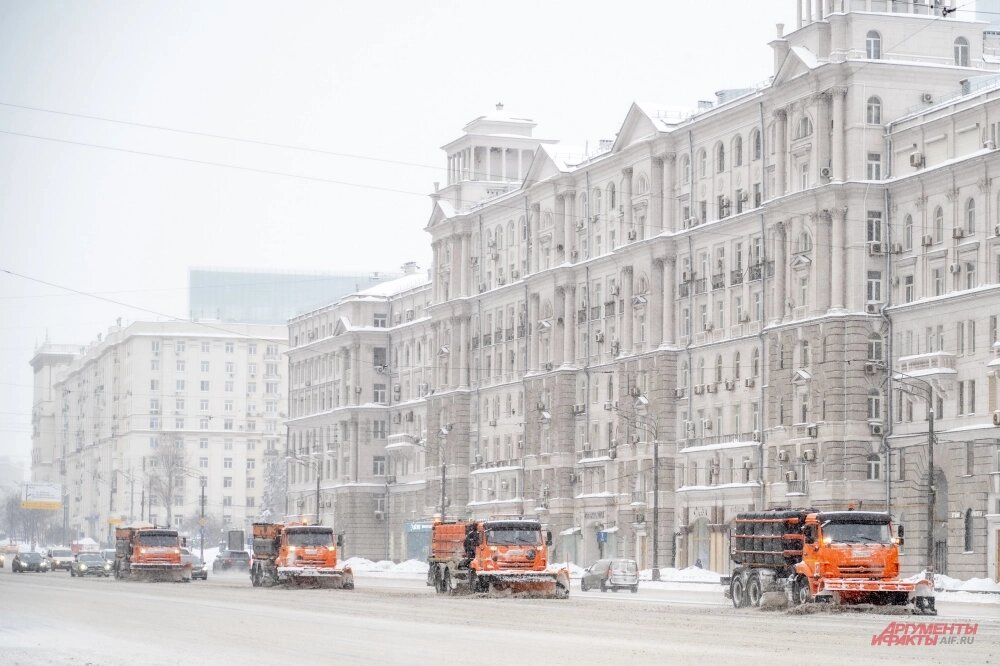    Фото: АиФ/ Юлия Федотова