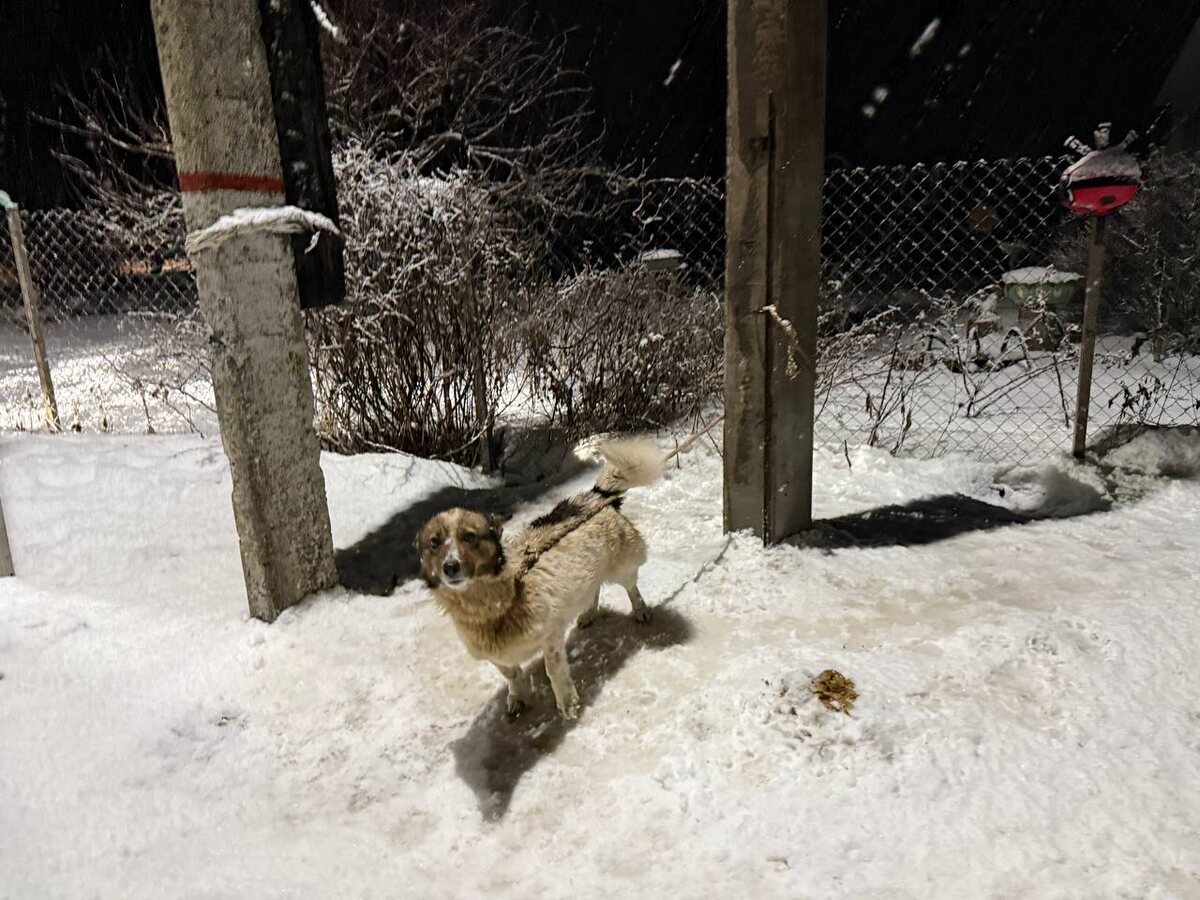 Снег, столб и веревка. Фото из архива автора