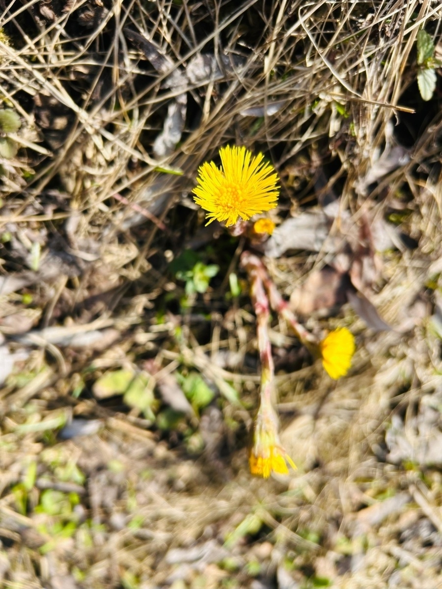     Февралдә, мартта һәм апрелдә Башҡортостанда аномаль һауа торошо фаразлана