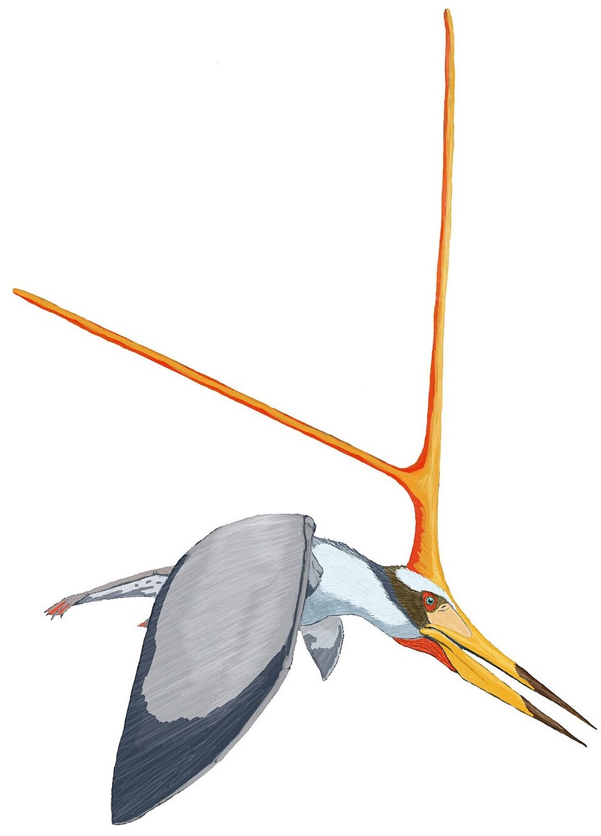 Nictosaurus в полёте