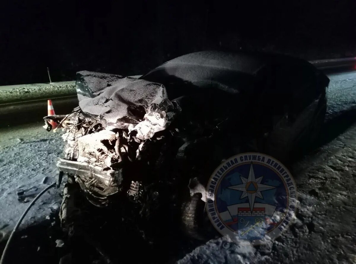    Фото: пресс-служба Аварийно-спасательной службы Ленобласти