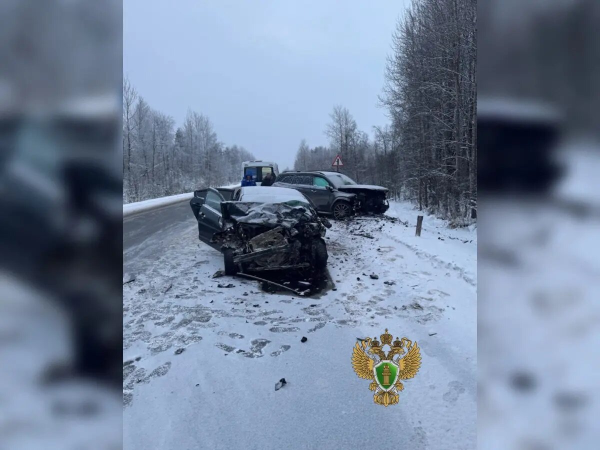    Фото: пресс-служба прокуратуры Ленобласти