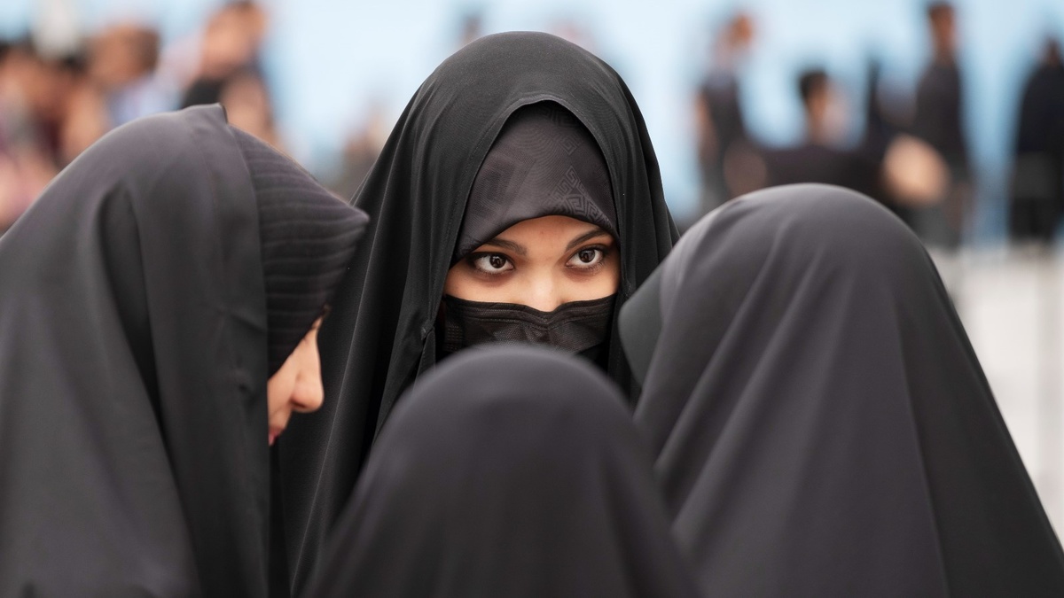 Изображение взято из открытого источника