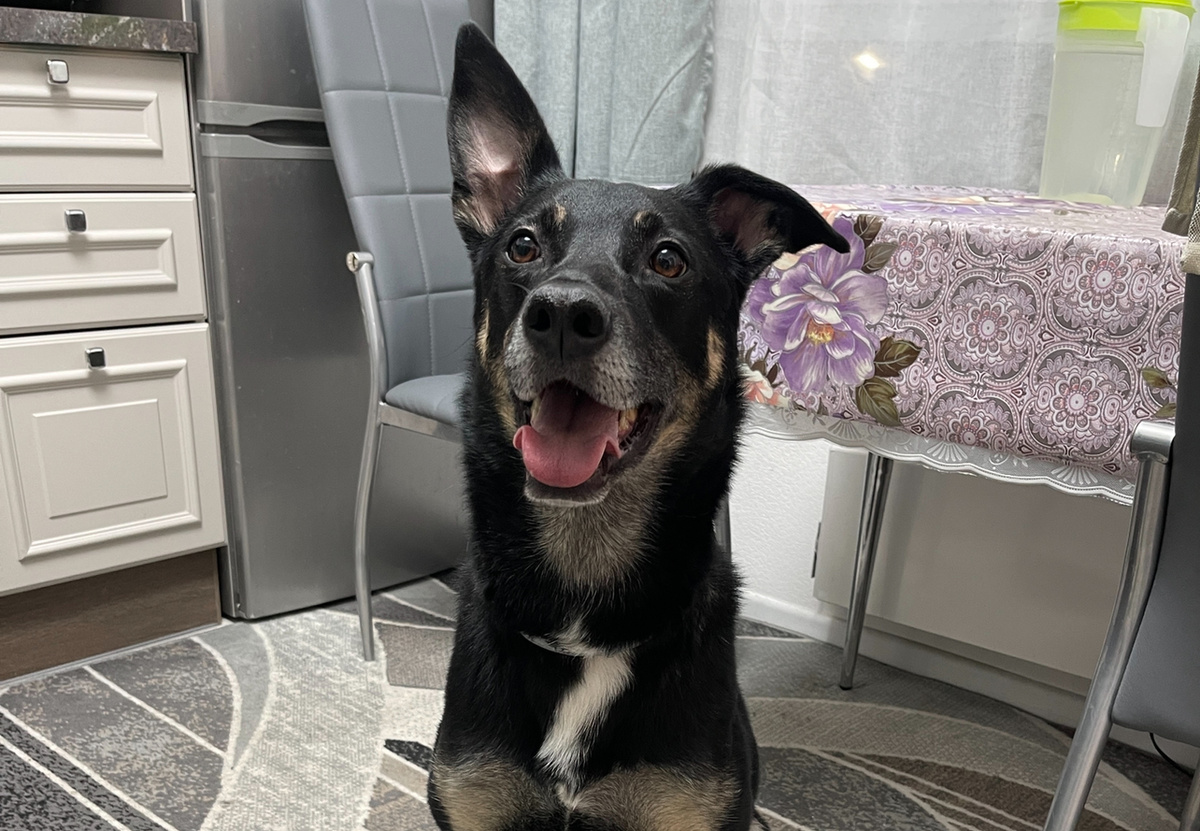 А вы в комментариях потом напишите, что у вас совпало 😅 И потом посмотрим, кто что любит делать дома! 😉