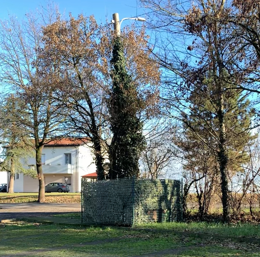 Isola ecologica (экологический остров, или просто помойка) у нас во дворе