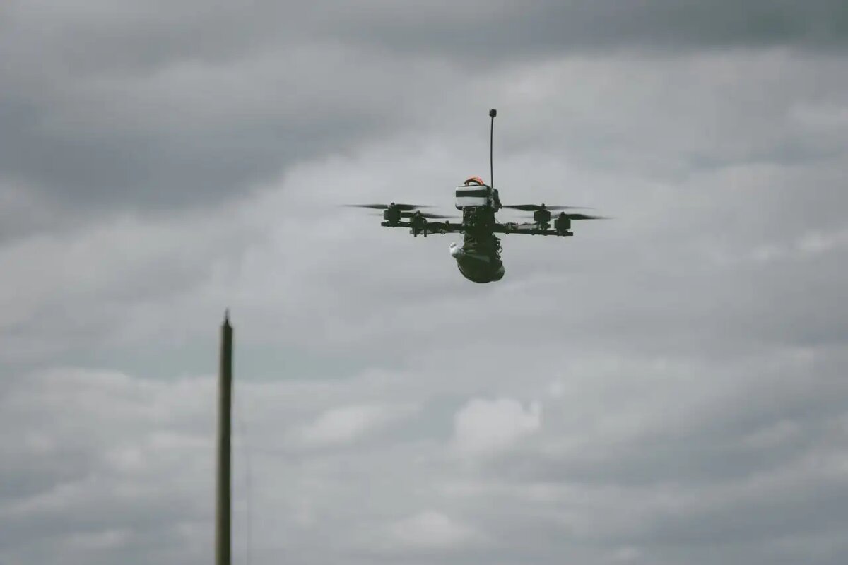    © @B0bJack/Española/Ridus.ru