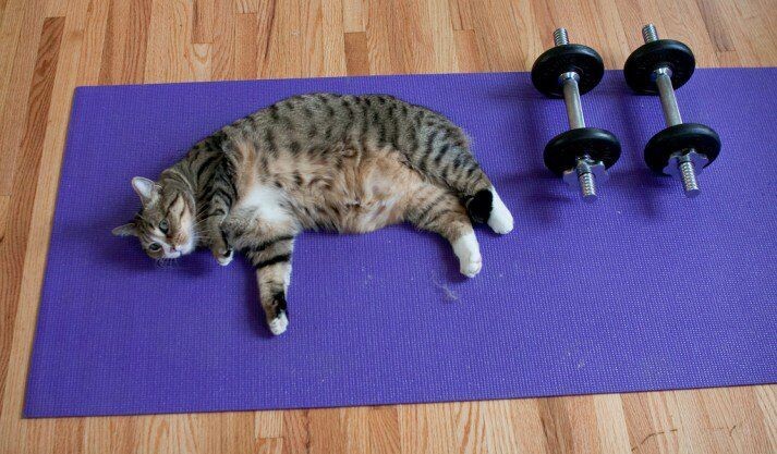 Фото из открытых источников. Отражает внутреннее состояние автора)