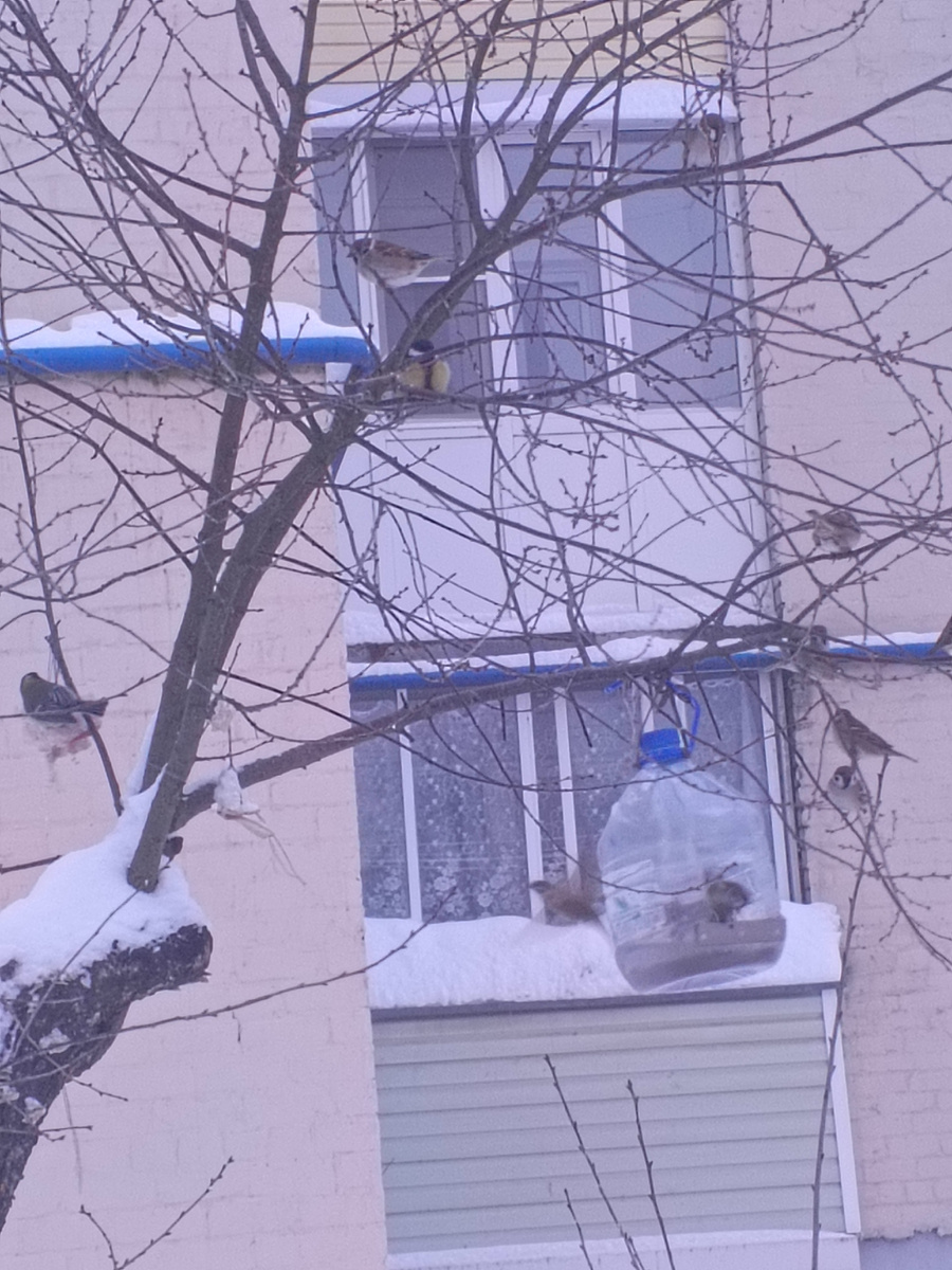 Фото автора