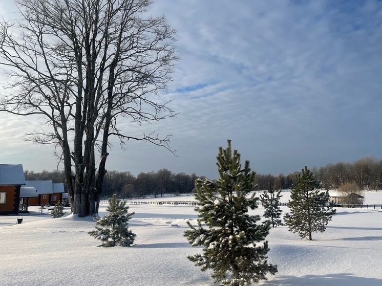     фото: Александра Ковалева