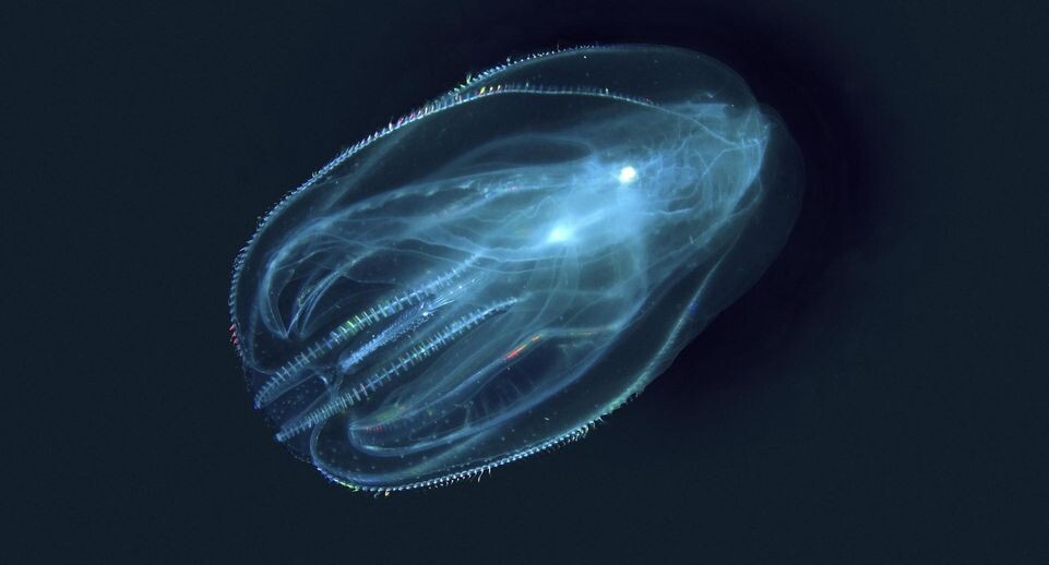    Andrey Nekrasov/imageBROKER.com / www.globallookpress.com