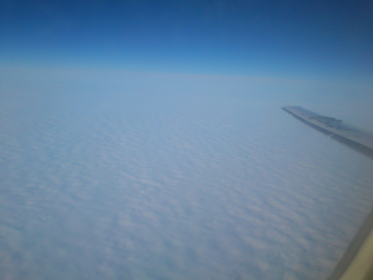 Перелет из Москвы в Новый уренгой. 