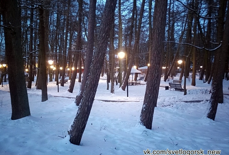 Стоило ли приезжать в курортный Светлогорск на Новый год? Отзывы и мнения отдыхающих