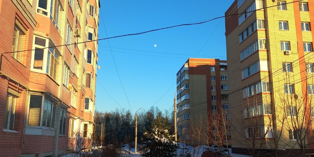 30.01.2026. Закупка рыбы. Сравним цены?