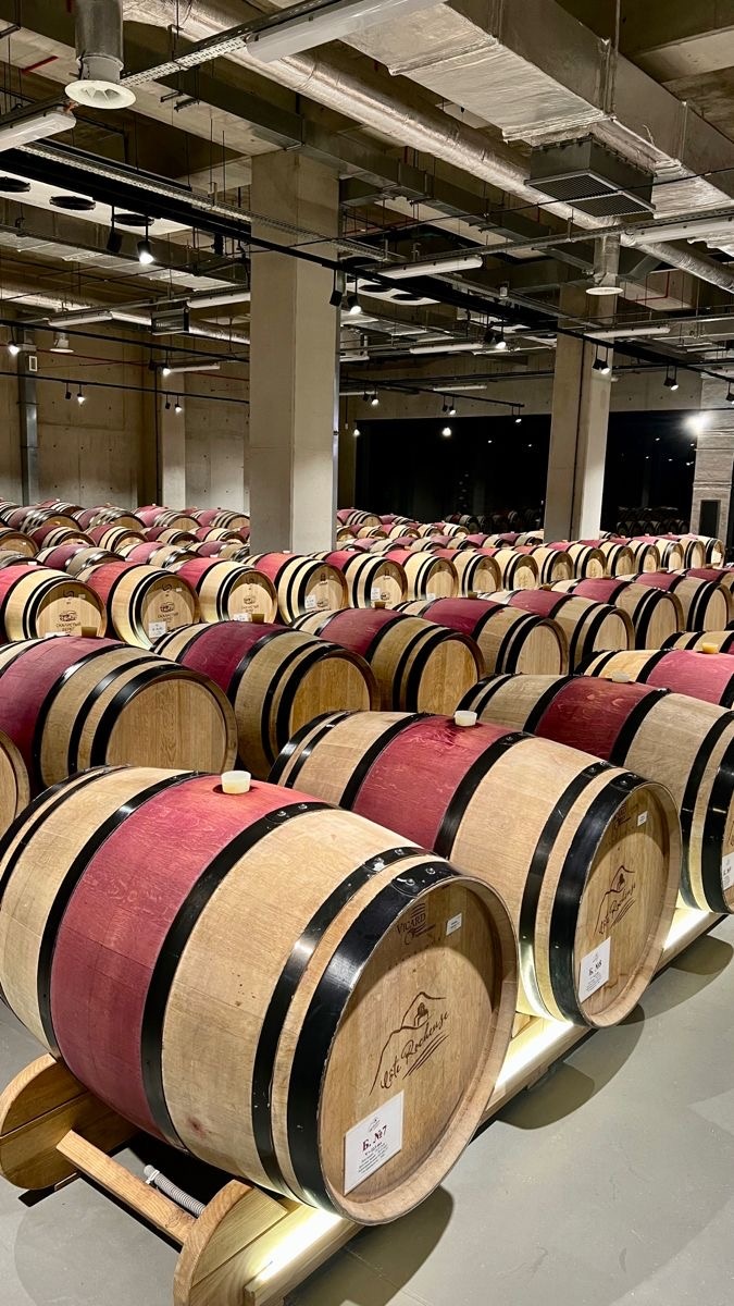 Винодельня Скалистый берег