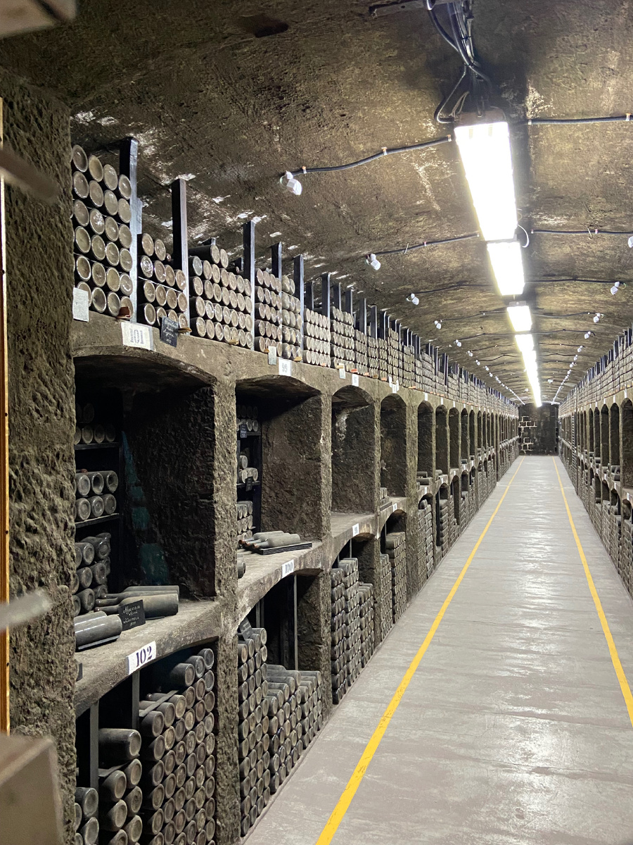 Массандра центр виноделия Крыма