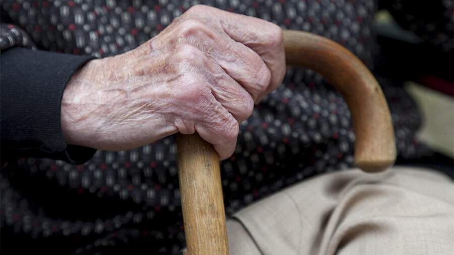    Фото: Global Look Press/Thomas Born