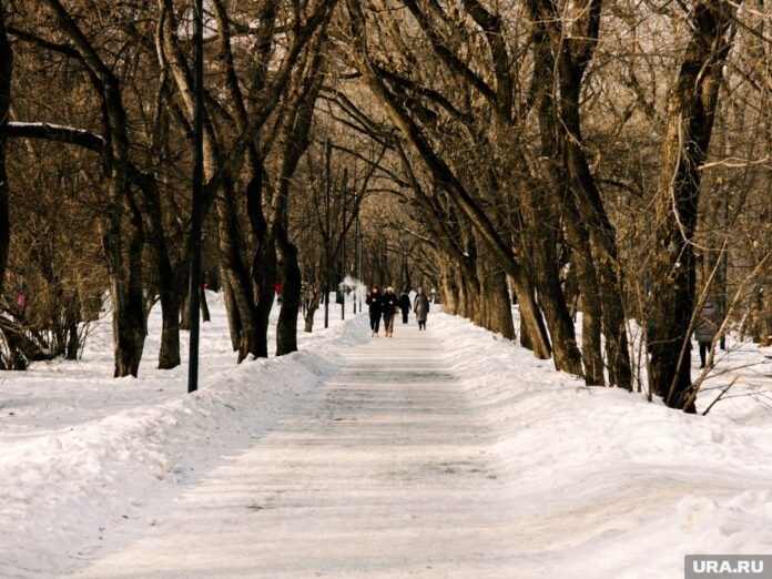    Проект будущего парка, реализованный с помощью нейросетей и бюджетных технологий в Екатеринбурге novostix