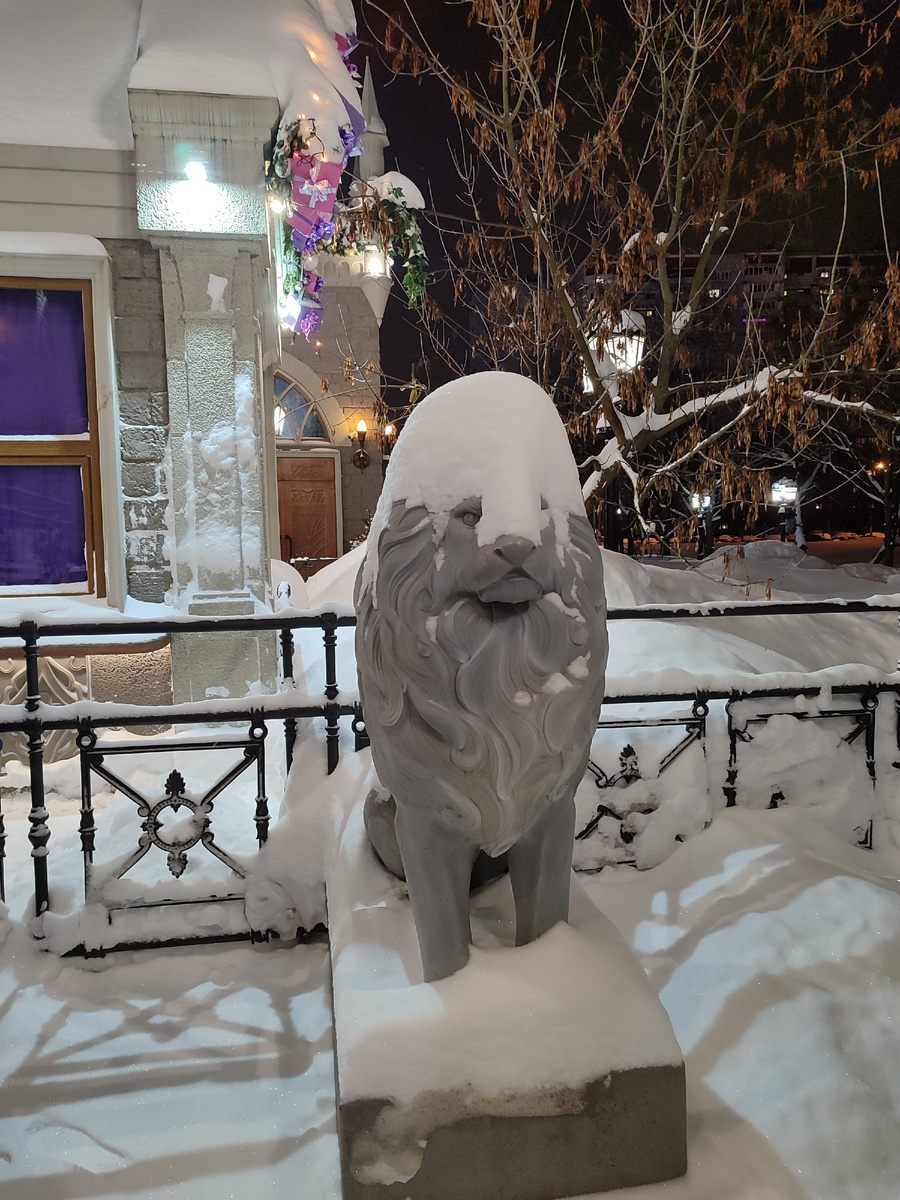 Наш лев заснеженный, фото автора