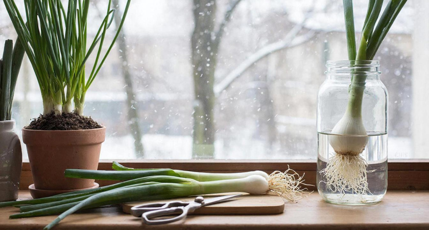    нейросеть GС