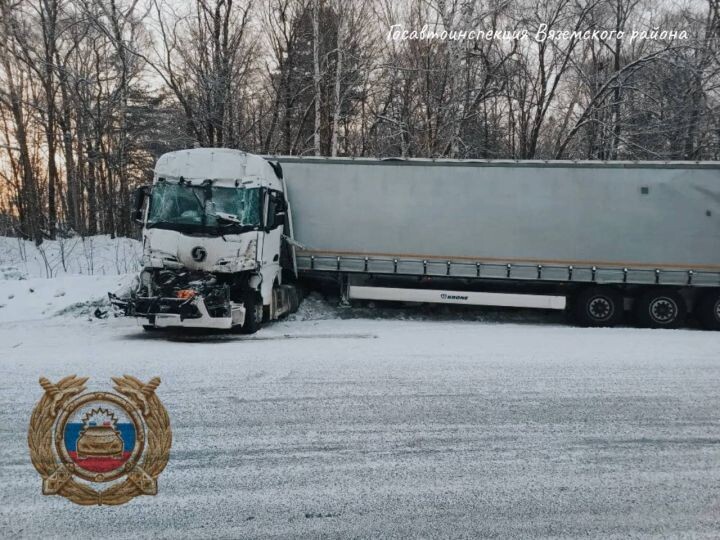    Фото:телеграм-канал отдела Министерства Внутренних дел России по Вяземскому району