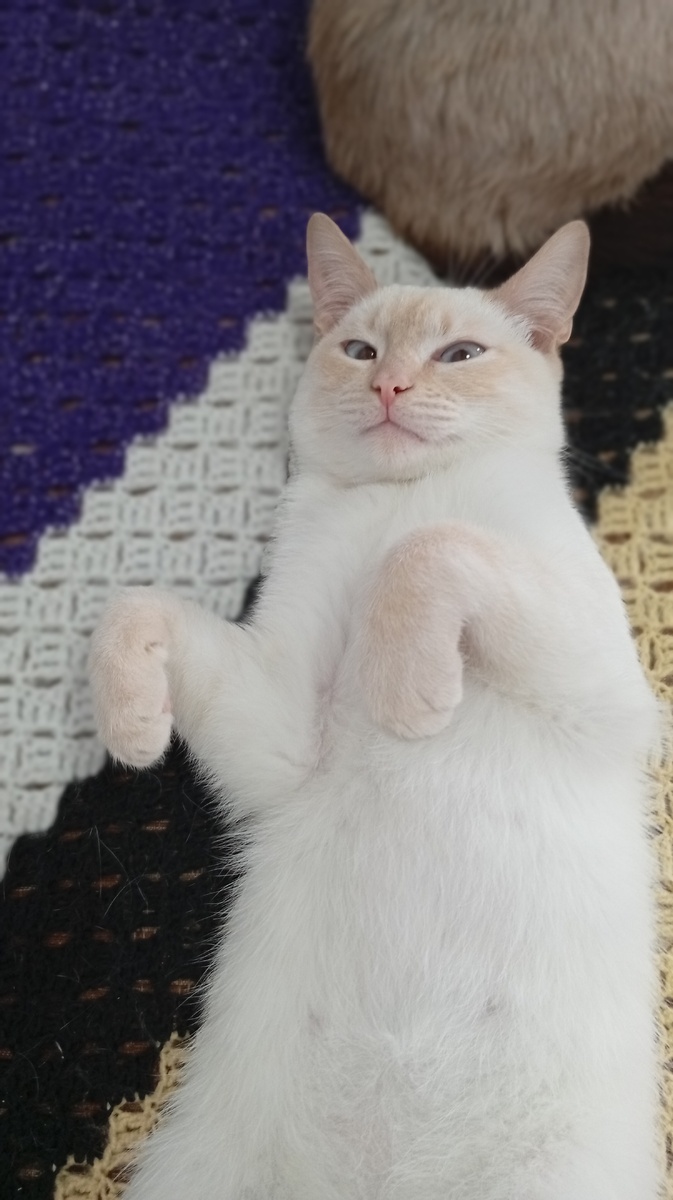 Фото из личного архива