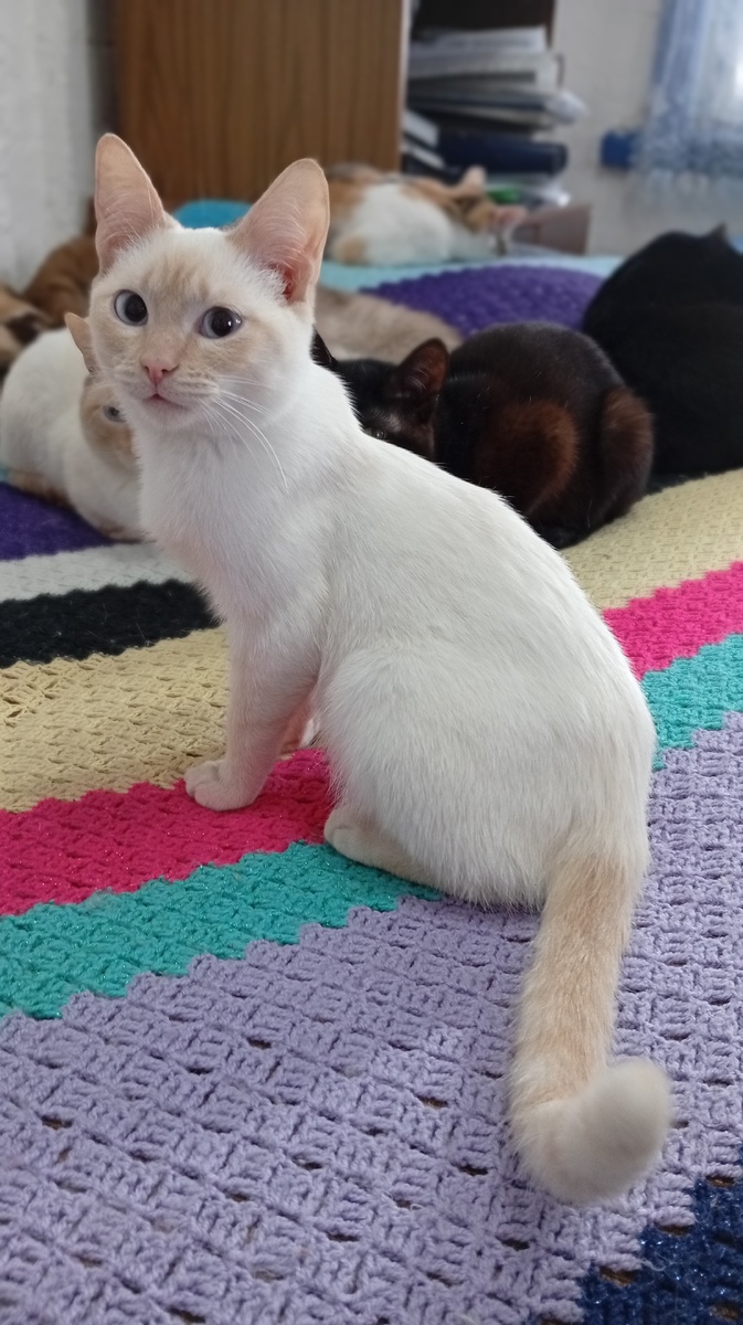 Фото из личного архива