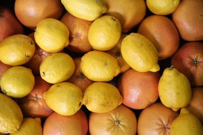    Мутантные мухи атакуют цитрусовые, символизирующие новую финансовую угрозу