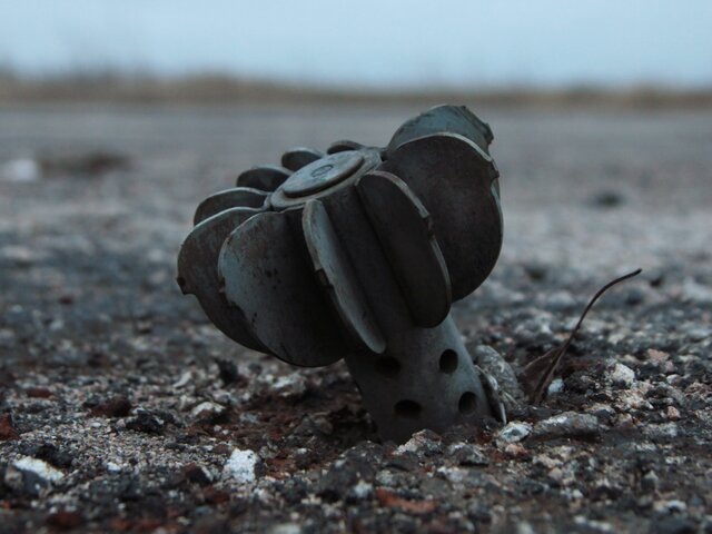    Фото: ТАСС/Валентин Спринчак