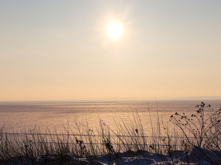     Фото: Elena Mayorova/Global Look Press